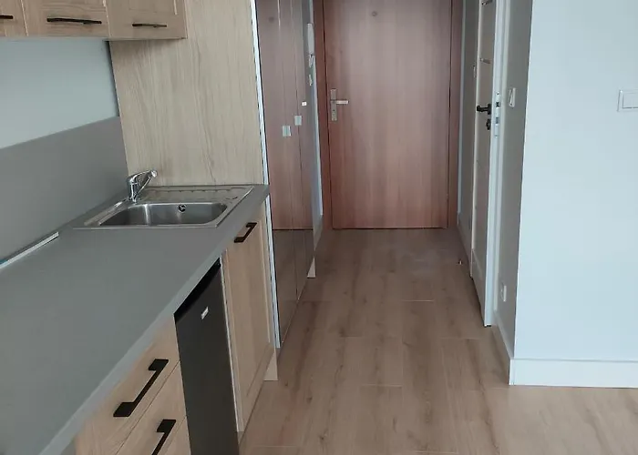 Apartament Sympozjum Loft Kraków